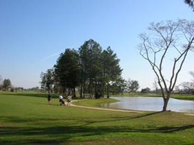 Festival de Golfe 2012 em Porto Alegre