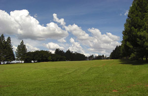 XV Campeonato Aberto do Bauru Golf Club