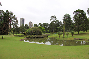 Graciosa Country Club recebe Torneio de Golfe Pró-Renal em agosto