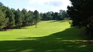 Um campo de golfe à venda em São Paulo