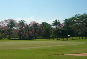 Campeonato Aberto Bandeirantes de Golfe em Ribeirão Preto