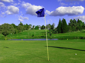 XIX Campeonato Aberto de Golfe Taça Comendador Cyro Pellizzari