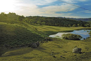 São Paulo ganha novo clube de golfe neste sábado com festa e exposição de arte