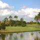 Incentivo ao Golfe no Paradise