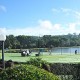 Bezerro nelore de prêmio de HOLE-IN-ONE no Royal Golf
