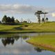 Paraná recebe final sul-americana da Faldo Series a partir desta sexta