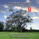 Momento Histórico: participe do I Campeonato Aberto do Barretos Golf Clube