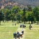 Equipe brasileira embarca para o Campeonato Sul-Americano Pré-Juvenil de Golfe no Chile