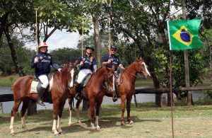 Equipe campeã Pologofe 