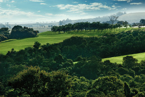 Fazenda Boa Vista by Arnold Palmer
