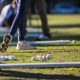1º Torneio Interpolos de Golfe simultâneo em Pernambuco, Rio de Janeiro, Rio Grande do Sul e São Paulo