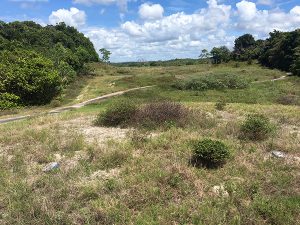 Sauípe Golf Links