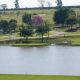 16º Campeonato Aberto de Golfe Cidade de Maringá – Purity – Open