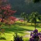 XXXVI Torneio Aberto do P.L. Golf Clube