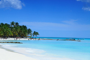 Ilha Saona