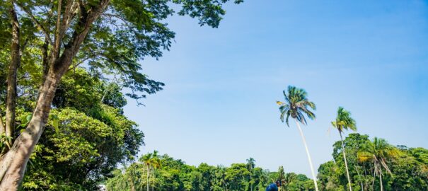 Riviera Golf Club promove a Clínica de Golfe com o profissional Kaio Nascimento Riviera Golf Club promove a Clínica de Golfe com o profissional Kaio Nascimento