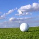 Duas chapas concorrem hoje nas eleições para a diretoria da Federação Paulista de Golfe
