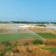Começa plantio de grama no campo de golfe  dos Jogos Rio 2016