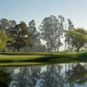 Brasileiros disputam a terceira etapa do PGA TOUR LATINOAMÉRICA na Colômbia