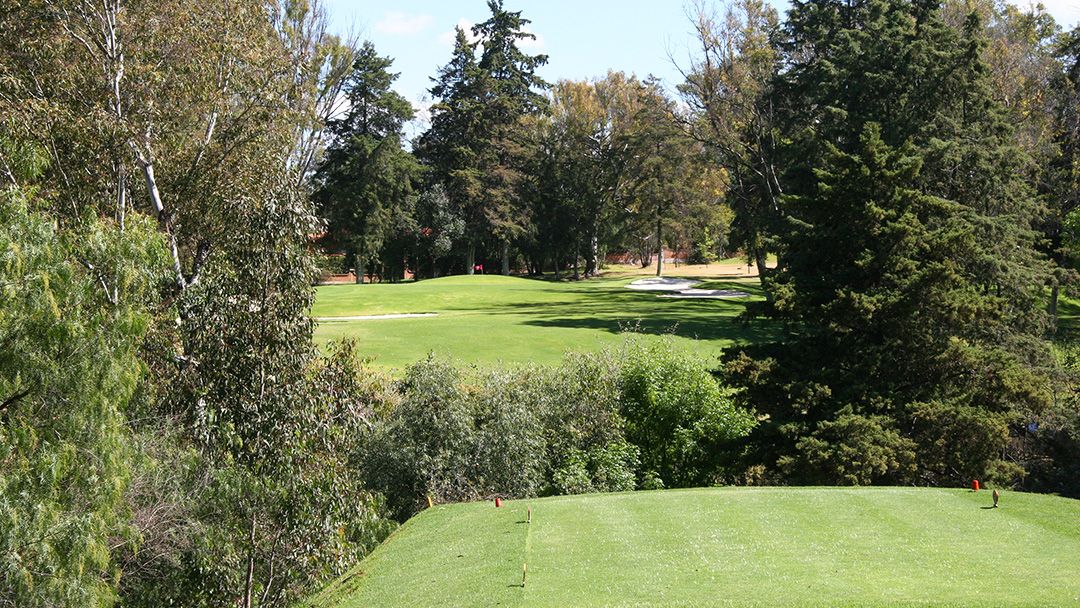 Alexandre Rocha e Rafael Becker participam da V Copa Prissa, no México