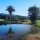 Campeões do 34º Aberto do Guarujá Golf Club