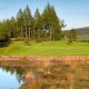 Reserve na agenda e veja os melhores golfistas do mundo na Ryder Cup de 2014