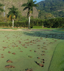 Itanhangá Golf Club