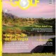 New Golf nº 19 é lançada nesta semana