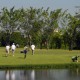 60º Campeonato Aberto do Santos São Vicente Golfe Club