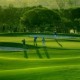 Terras do Golfe realiza 3ª etapa da Taça Pantanal neste sábado em Campo Grande