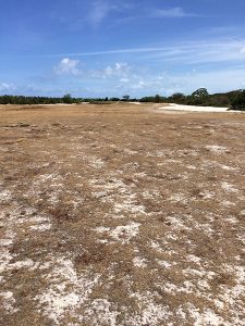 Um dos buracos do Iberostar... nada de grama na raia¹